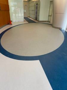 DS Flooring - Marmoleum Flooring