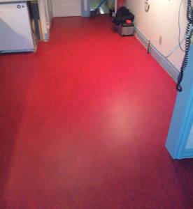 DS Flooring - Marmoleum Flooring